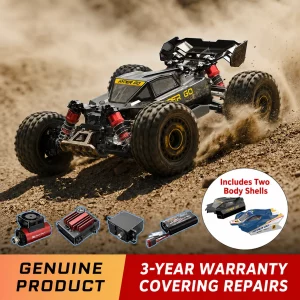 Dianyue 1/16 Brushless High-Speed Off-Road Racing RC Car